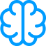 Brain